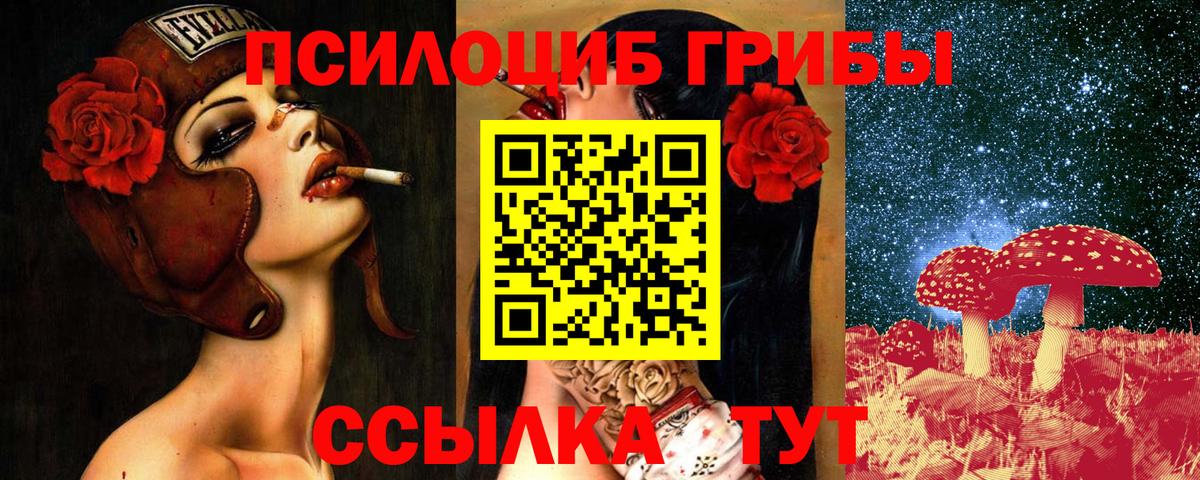 Александров  Галлюциногенные грибы Magic Shrooms  Вход с VPN 
